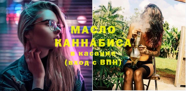 МДПВ Бородино