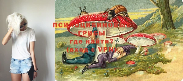 МДПВ Бородино