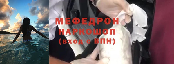 МДПВ Бородино